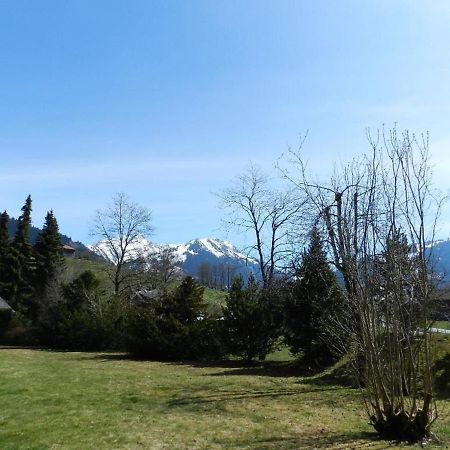 Charly Studio In Gstaad Ngoại thất bức ảnh